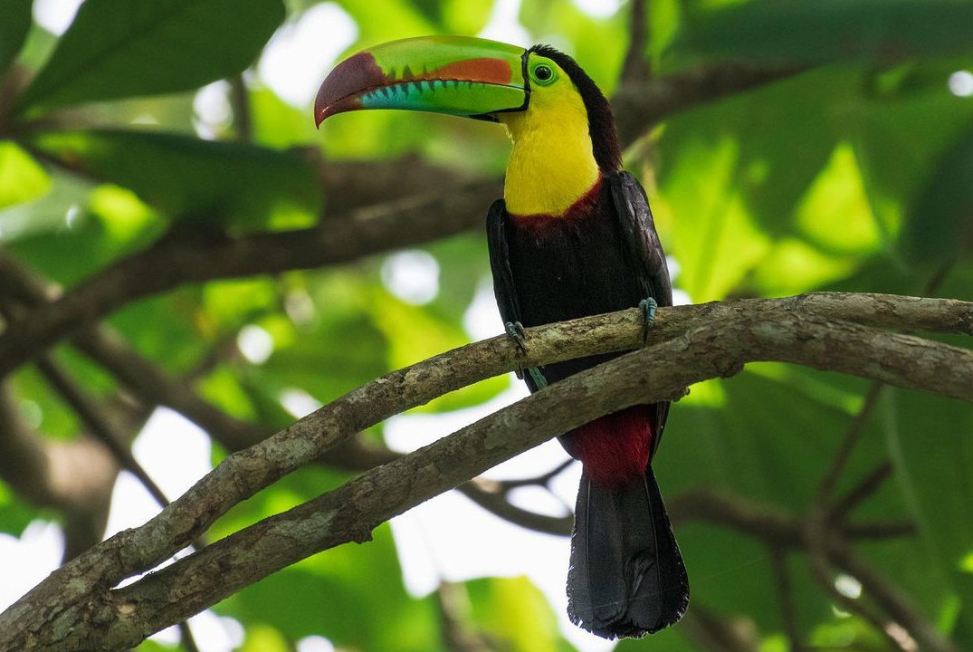 Costa Rica