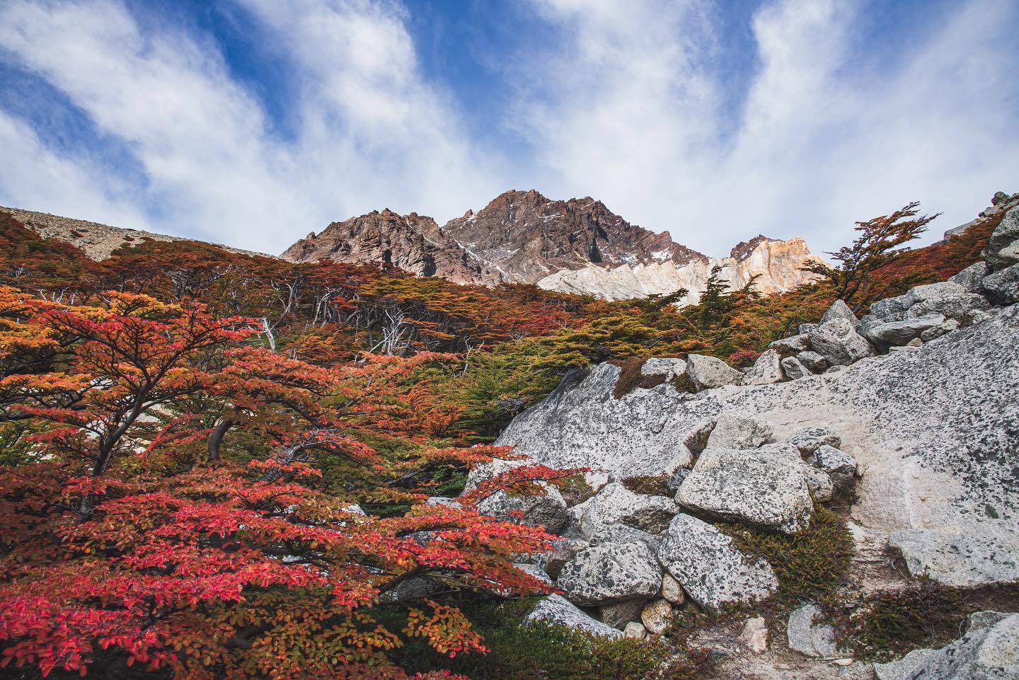 Autumn Torres del Paine