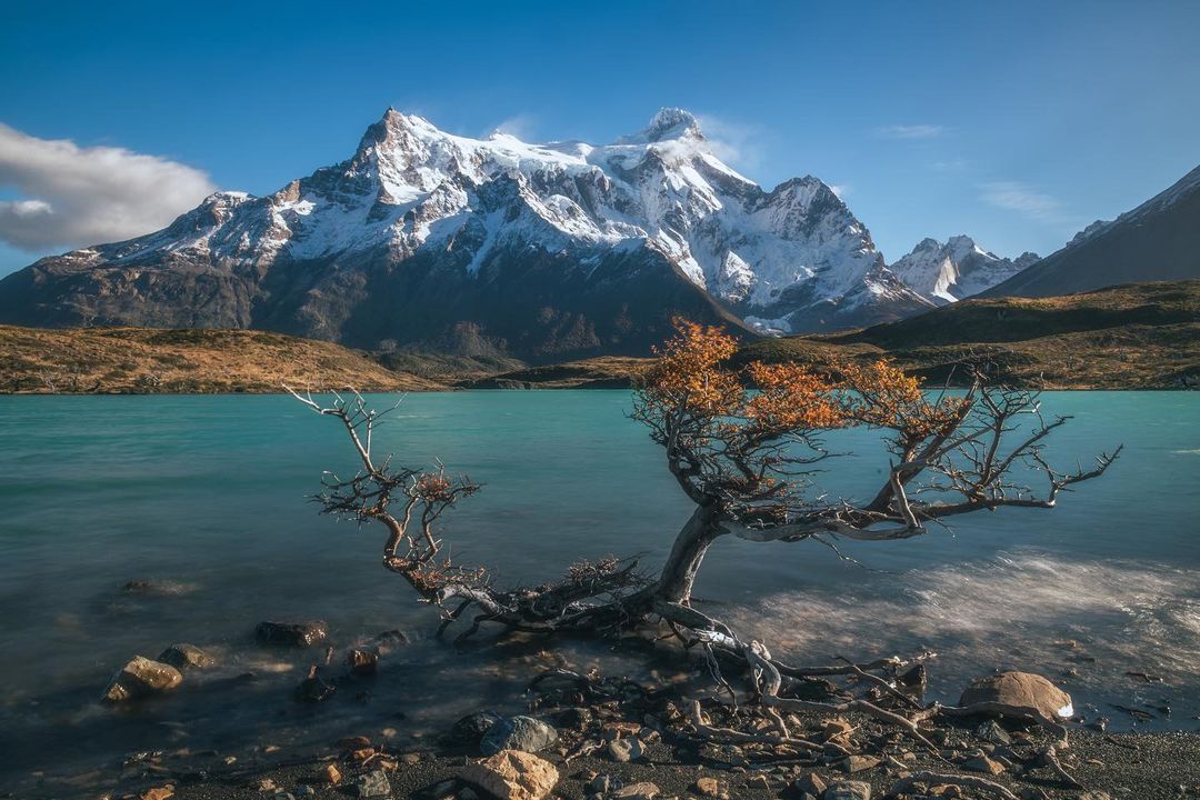 Torres del Paine 6
